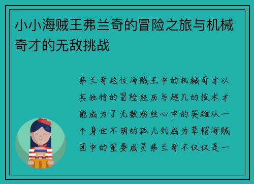 小小海贼王弗兰奇的冒险之旅与机械奇才的无敌挑战